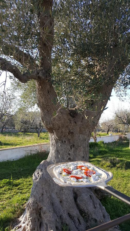 Masseria Cesarina B&B Castellana Grotte Bagian luar foto