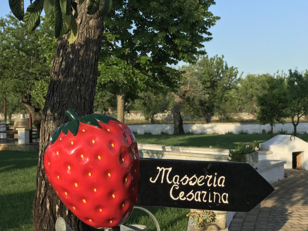 Masseria Cesarina B&B Castellana Grotte Bagian luar foto